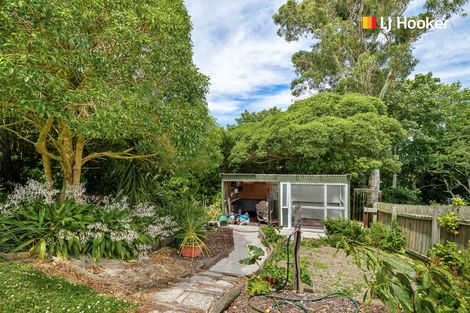 Photo of property in 9 Elliffe Place, Shiel Hill, Dunedin, 9013