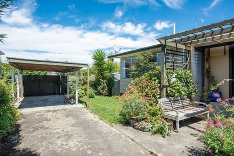 Photo of property in 41 Old Renwick Road, Springlands, Blenheim, 7201