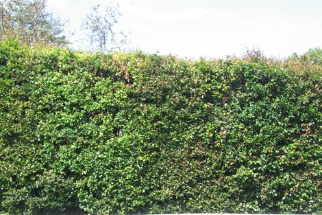 Photo of property in 1 Vaughan Crescent, Murrays Bay, Auckland, 0630