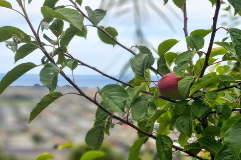 Photo of property in 139 Forfar Street, Clyde Hill, Dunedin, 9011