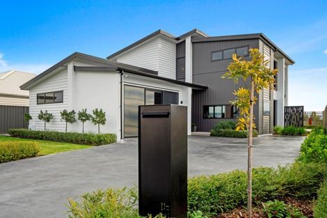 Photo of property in 74 Pelorus Avenue, Poraiti, Napier, 4112