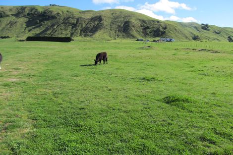 Photo of property in 52 Grant Road, Kinloch, Taupo, 3385