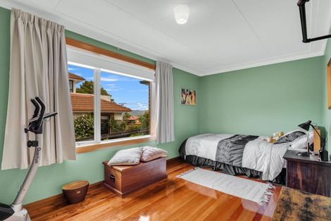 Photo of property in 17 Northfield Avenue, Opoho, Dunedin, 9010