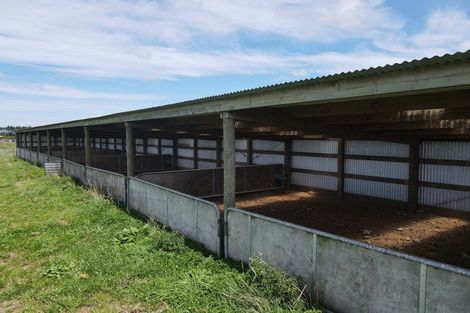 Photo of property in 124 Kahouri Road, Midhirst, Stratford, 4394