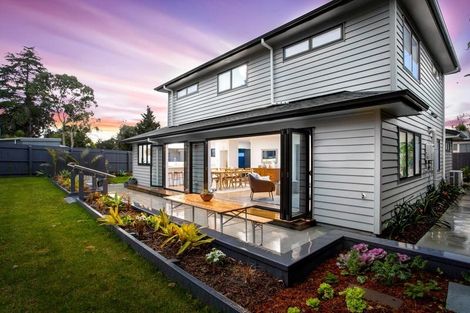 Photo of property in 67d Parker Avenue, New Lynn, Auckland, 0600