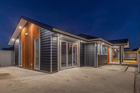 Photo of property in 571 Queen Street East, Levin, 5510