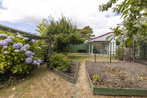 Photo of property in 67 New Renwick Road, Burleigh, Blenheim, 7201