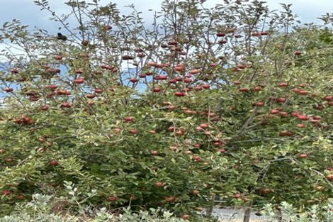 Photo of property in 161 Hauraki Road, Orongo, Thames, 3574