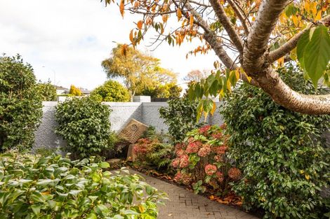 Photo of property in 168a Te Awe Awe Street, Hokowhitu, Palmerston North, 4410