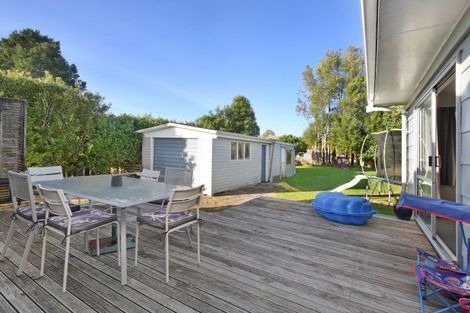 Photo of property in 59 Spinley Street, Te Awamutu, 3800