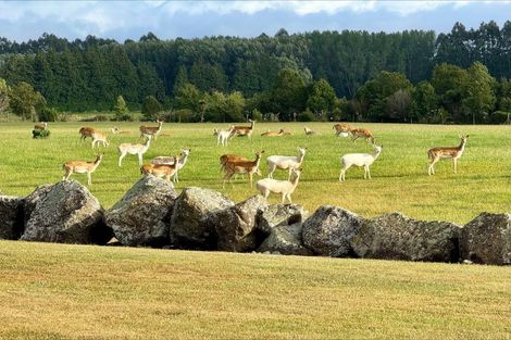 Photo of property in 18 Meadowlinks Lane, Pleasant Point, 7974