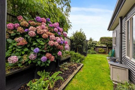 Photo of property in 42a Kent Street, Marchwiel, Timaru, 7910