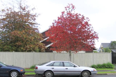 Photo of property in 38 Headcorn Place, Botany Downs, Auckland, 2010