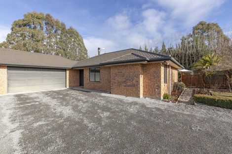 Photo of property in 909 Downs Road, Eyrewell, Rangiora, 7476