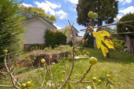 Photo of property in 53 Hutchinsons Road, Bucklands Beach, Auckland, 2014