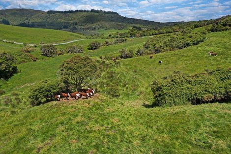 Photo of property in 304b Pigeon Flat Road, Mount Cargill, Waitati, 9085