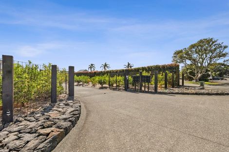 Photo of property in 3 Citrus Place, Mangawhai, 0505