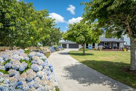 Photo of property in 202 West Road, Ohaupo, 3881