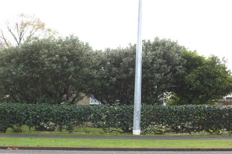 Photo of property in 55a Fifth Avenue, Enderley, Hamilton, 3214