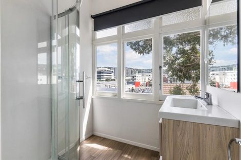 Photo of property in 17 Home Street, Mount Victoria, Wellington, 6011