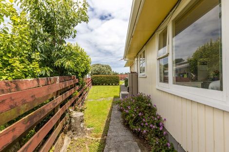 Photo of property in 113 Cracroft Street, Waitara, 4320