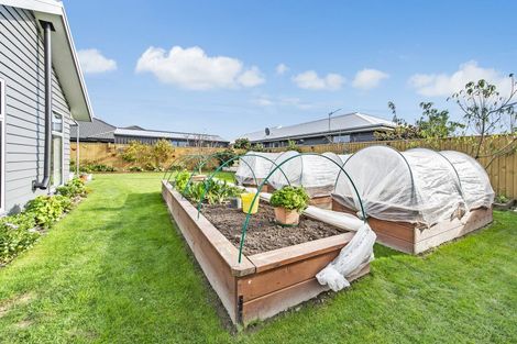 Photo of property in 45 Navy Loop, Rolleston, 7614