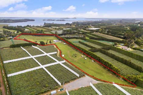 Photo of property in 110 Tuapiro Road, Tahawai, Katikati, 3170