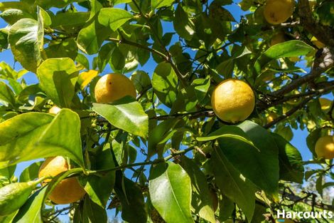 Photo of property in 12 Lionel Place, Mapua, 7005