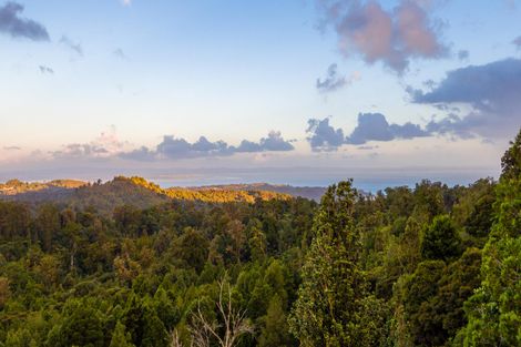 Photo of property in 410a Scenic Drive, Waiatarua, Auckland, 0612