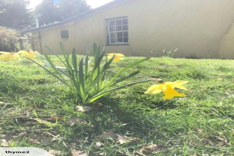 Photo of property in 42 Wet Gully Road, Naseby, Ranfurly, 9396