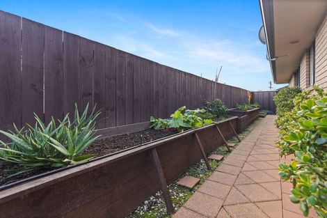 Photo of property in 19 Cresta Drive, Katikati, 3129