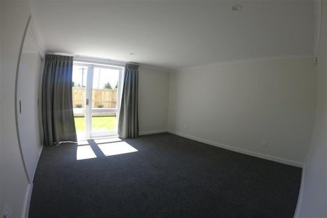 Photo of property in 161 Rimu Street, Maeroa, Hamilton, 3200