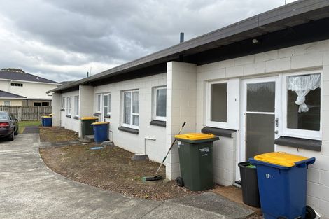 Photo of property in 13 Coburg Street, Henderson, Auckland, 0612