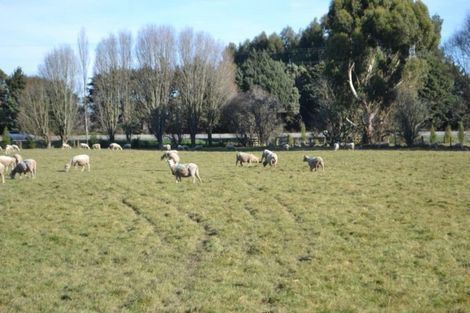 Photo of property in 256 Lineside Road, Flaxton, Kaiapoi, 7691