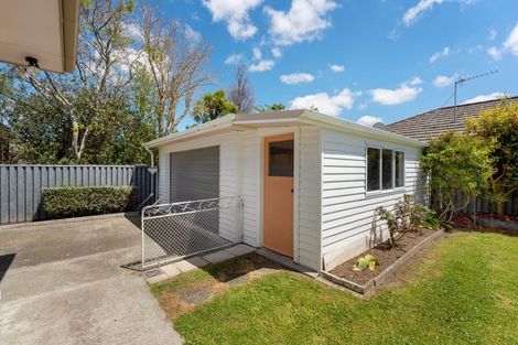 Photo of property in 14 Anglesey Place, Awapuni, Palmerston North, 4412