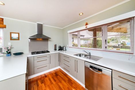 Photo of property in 480 Ruahine Street, Terrace End, Palmerston North, 4410