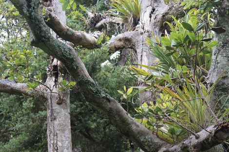 Photo of property in 5 James Road, Huntly, 3771