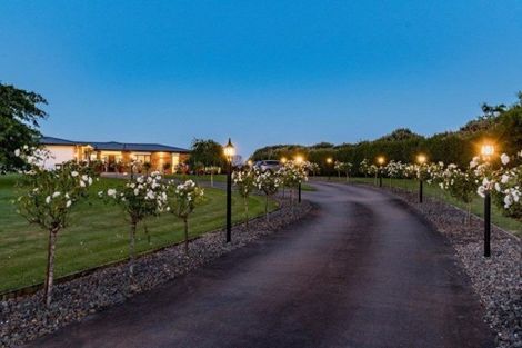 Photo of property in 294 Ross Road, Whakamarama, Tauranga, 3179