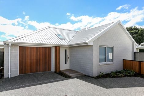 Photo of property in 3a Normanby Street, Fitzroy, New Plymouth, 4312