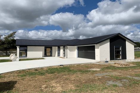 Photo of property in 38a Tainui Street, Levin, 5510