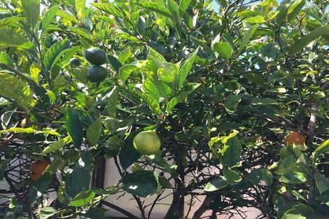 Photo of property in 294 Bucklands Beach Road, Bucklands Beach, Auckland, 2012