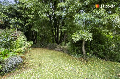 Photo of property in 69 Warrender Street, North Dunedin, Dunedin, 9016