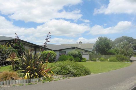 Photo of property in 101 Beattie Street, Feilding, 4702