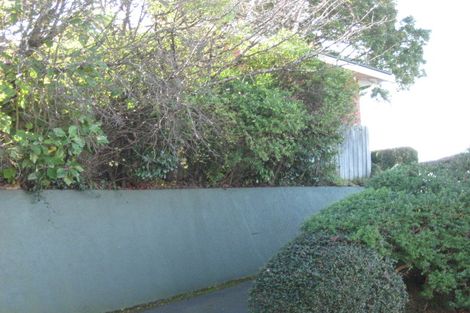 Photo of property in 53 Mailer Street, Mornington, Dunedin, 9011