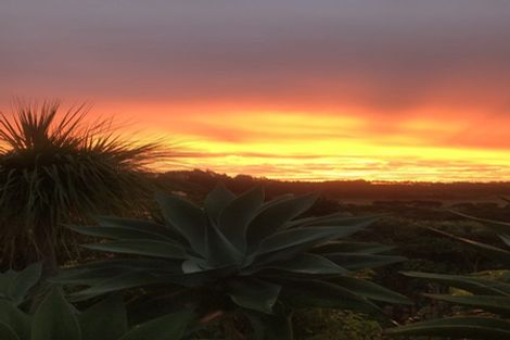 Photo of property in 415 Spains Road, Awanui, 0486