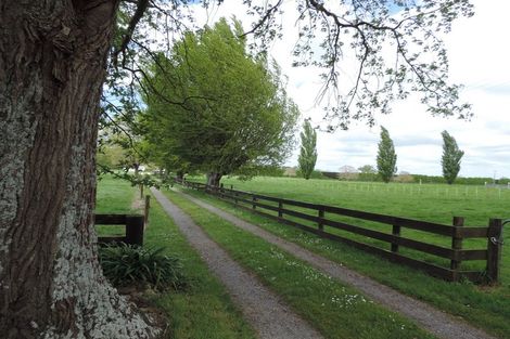 Photo of property in 31 Stopford Road, Te Poi, Matamata, 3473