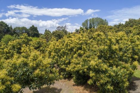 Photo of property in 63a Snodgrass Road, Te Puna, Tauranga, 3174