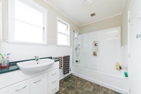 Photo of property in 151 Limbrick Street, Terrace End, Palmerston North, 4410