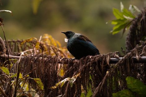 Photo of property in 148 Watershed Road, Bunnythorpe, Palmerston North, 4470