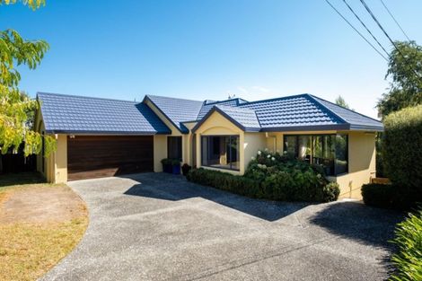 Photo of property in 58 Palmerston Road, Havelock North, 4130